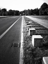 Empty road along trees