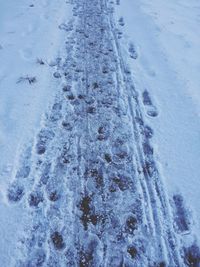 High angle view of snow covered field