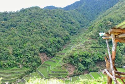 Scenic view of mountains