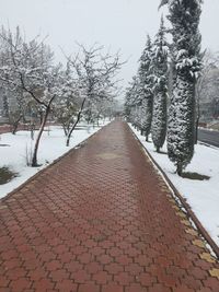 Footpath amidst snow covered trees against sky