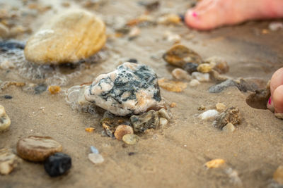 Close-up of hand on sand