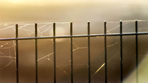 Close-up of railing against sea