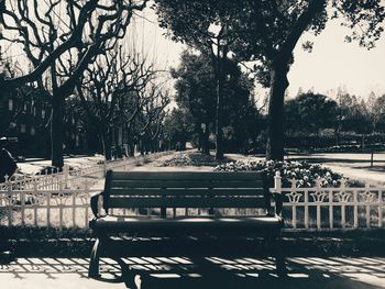 Empty bench in park