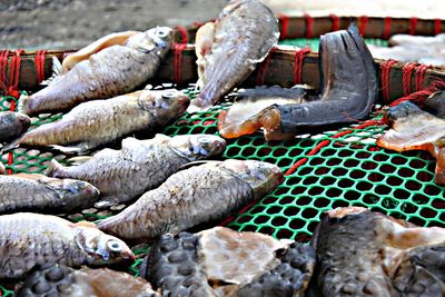 View of fish for sale at market