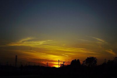 Silhouette of trees at sunset