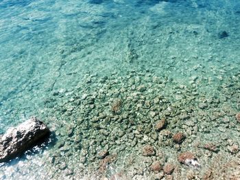 High angle view of rocks in sea