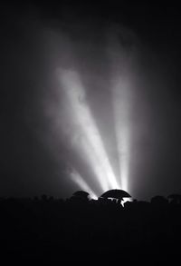 silhouette
