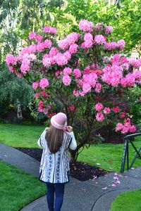 Full length of woman standing on pink flowering plants