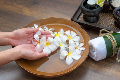 High angle view of hand holding white flowering plants on table