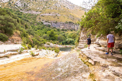 Rear view of people walking on mountain by trees