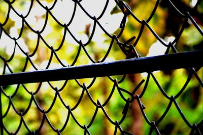 Close-up of chainlink fence