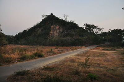Road amidst trees against clear sky