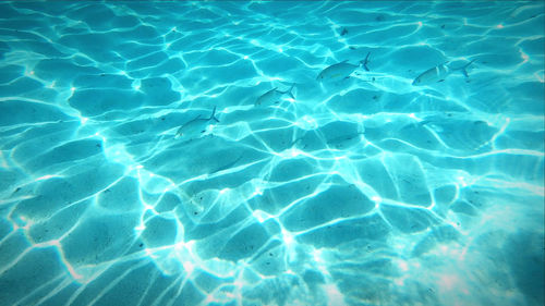 Full frame shot of swimming pool