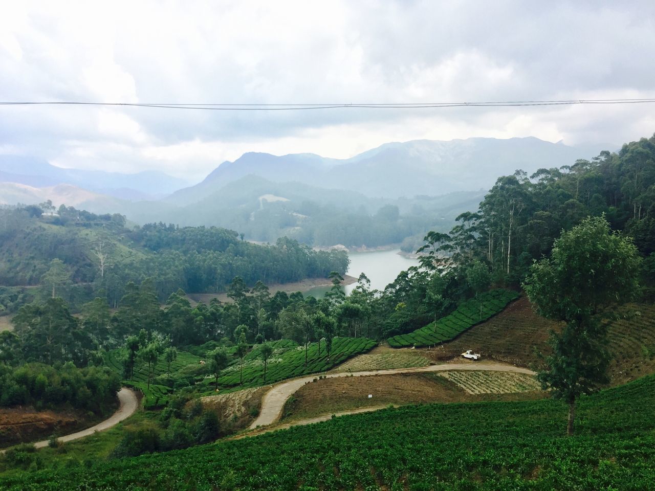 nature, growth, tree, mountain, beauty in nature, sky, landscape, scenics, green color, tranquil scene, no people, mountain range, tranquility, agriculture, day, outdoors, tea crop