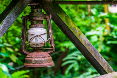 Close-up of old rusty metal hanging by tree