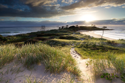 Scenic view of beach against sky during sunset