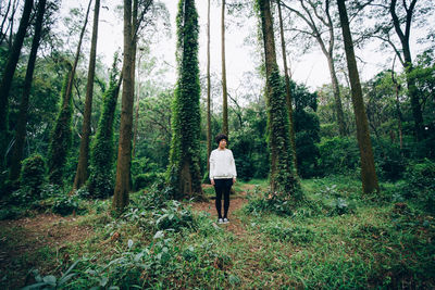 Rear view of man standing amidst trees in forest