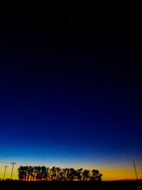 Low angle view of silhouette trees against clear sky at night