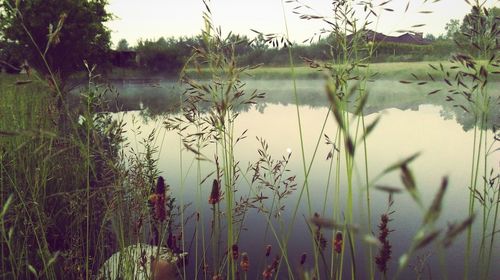 Scenic view of lake against sky