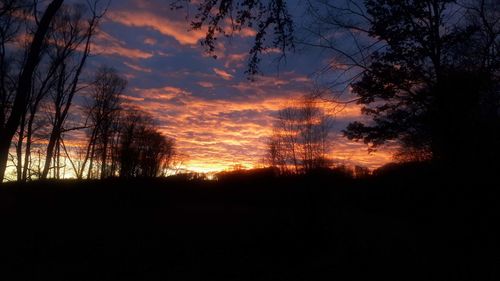 Silhouette trees against sky during sunset