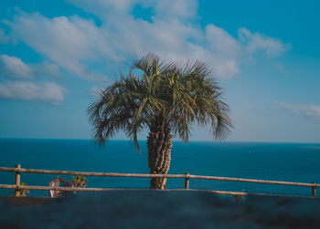 Palm tree by sea against sky