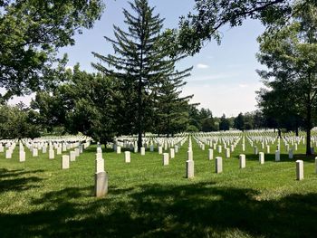 View of cross in cemetery