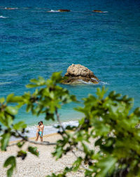 Rear view of woman on rock by sea