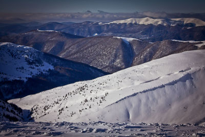 Carpathian snow capped mountains with spruces landscape photo