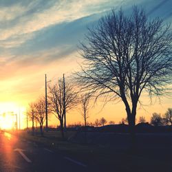 Bare trees by road against sky during sunset
