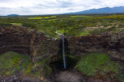 Scenic view of stream amidst plants against sky