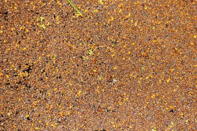 High angle view of sand on field