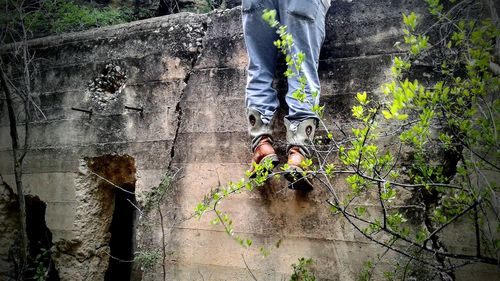 Low section of man standing by plants