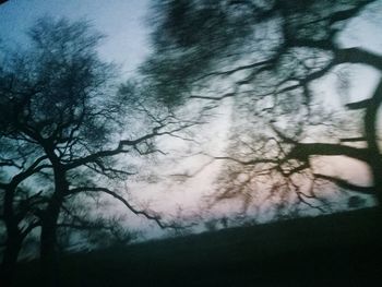 Low angle view of bare trees against sky