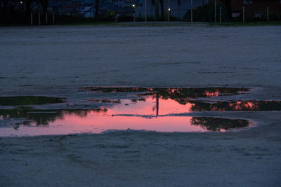 Reflection of trees in puddle at sunset