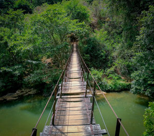 Footbridge over river amidst trees in forest