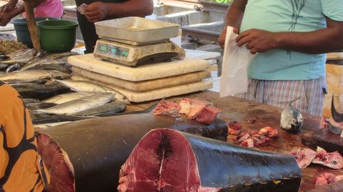 Group of people at fish market