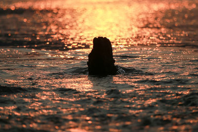 Silhouette person swimming in sea during sunset