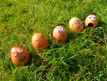 High angle view of easter eggs with anthropomorphic face on grassy field