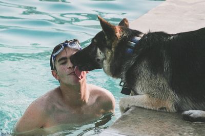 High angle view of dog licking person