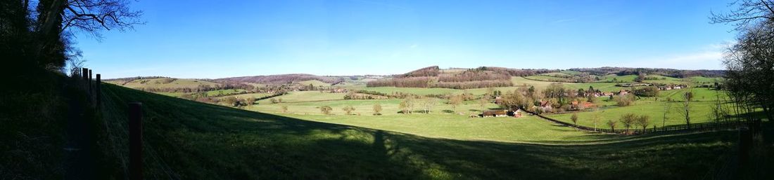 Scenic view of agricultural field against blue sky