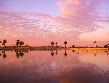 Reflection on palm treess on lake at sunset