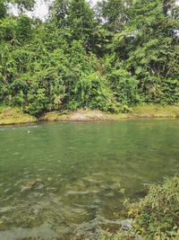 Scenic view of lake