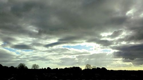 Silhouette of trees against dramatic sky