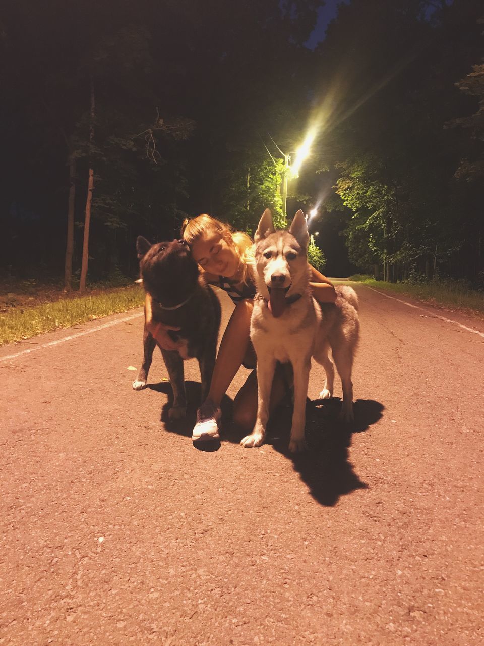 dog, mammal, domestic animals, pets, road, walking, sunlight, nature, outdoors, one animal, shadow, full length, men, day, tree, people