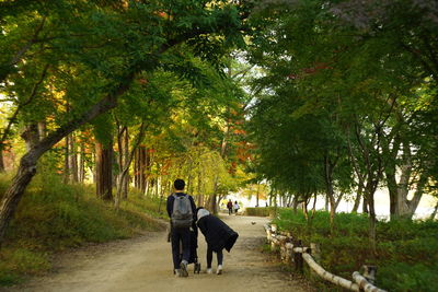 Rear view of men walking on footpath amidst trees