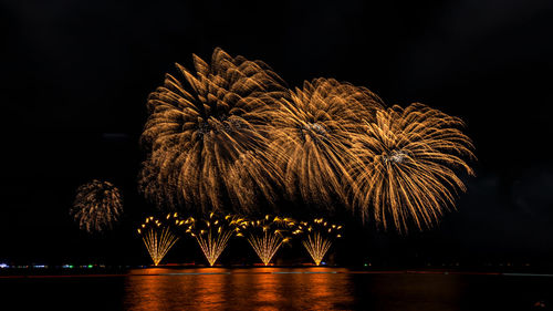  beautiful celebrations firework over colorful at night on the sea and reflections water front 