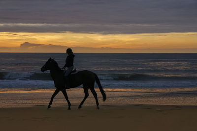 Silhouette woman riding horse on shore at beach against sky during sunset