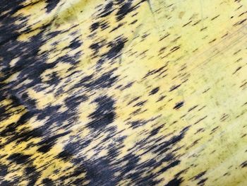 Full frame shot of abstract pattern on floor