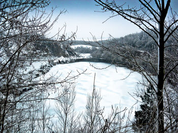 Scenic view of lake in forest during winter