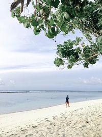 People on beach against sky